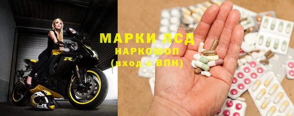 прущие грибы Абдулино