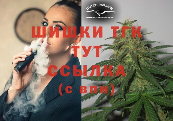гашик Абаза