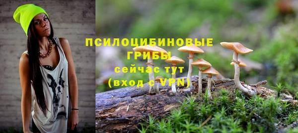 гашик Абаза