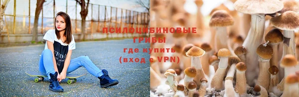 гашик Абаза